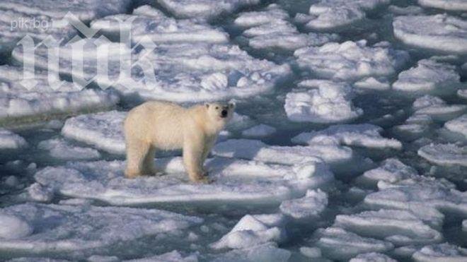 Лятното топене на ледовете на Южния полюс се случва десет пъти по-бързо