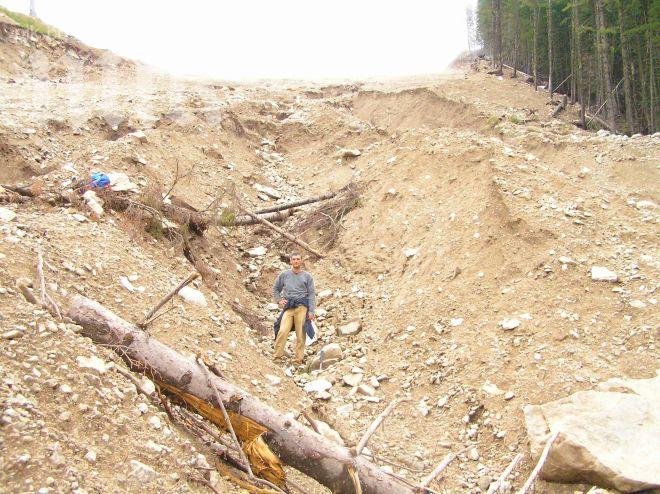 Екоминистерството няма против 
сеч на 10 000 дка гори в Пирин