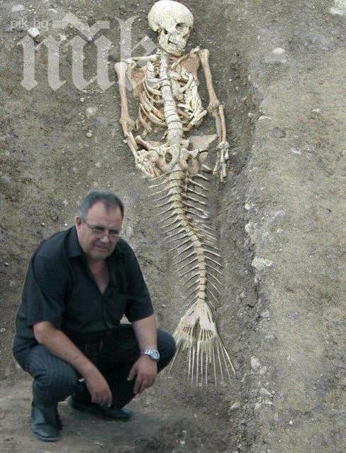 БСП: Ако проф. Божидар Димитров спре да пие, научните открития
 в Созопол ще секнат 