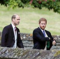 Принц Уилям и Дейвид Камерън  замесени в корупционен скандал във ФИФА