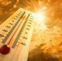 разликата слънчасване опасен топлинен удар