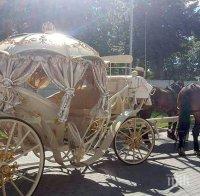 ПРОЧУХМЕ СЕ В ЕВРОПА! Наши роми спретнаха шоу пред родилно в Полша - прибраха наследника си със златна карета и оркестър