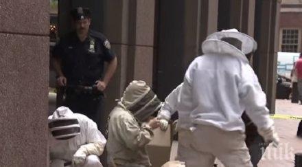 необичайно явление десетки хиляди пчели нападнаха таймс скуеър видео