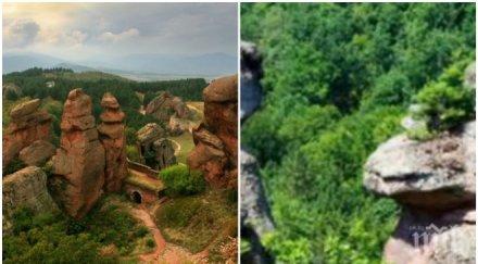 кариери заплашват белоградчишките скали