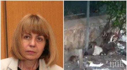 сигнал пик вниманието фандъкова плъхове плъзнаха люлин детска ясла видео