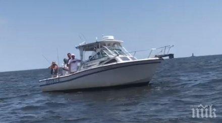 гърбат кит изкара акъла рибари видео