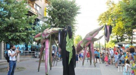 метрови богомолки плъзнаха бургас
