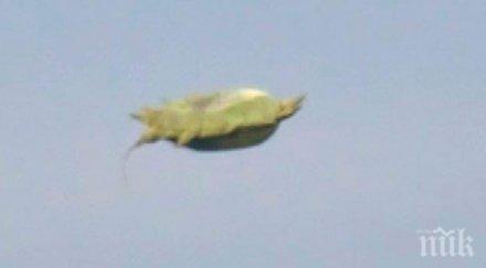 мистерия небето канадец засне нло огромни шипове