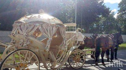 прочухме европа наши роми спретнаха шоу родилно полша прибраха наследника златна карета оркестър