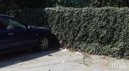 отврат проститутки превърнаха паркинг насред пловдив тоалетна