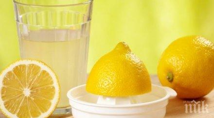 чудо природата дни лимони ставате вейка