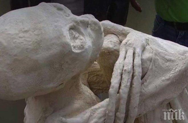 СЕНЗАЦИЯ! Откритата мумия на извънземно е на 2500 години