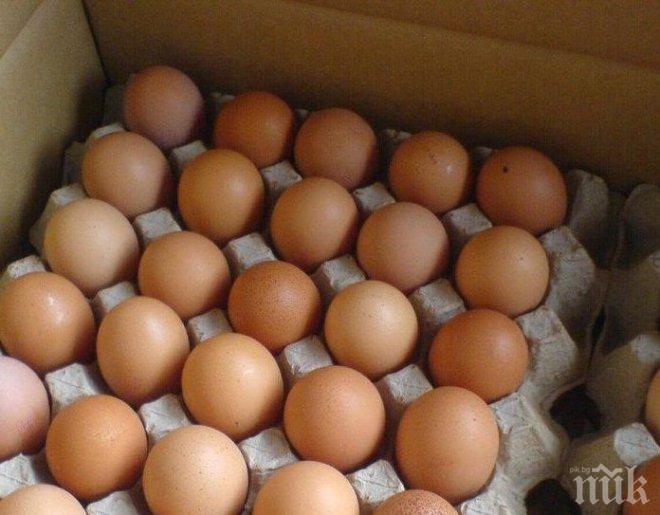 ЕС отново връща митата върху вноса на украински яйца и захар