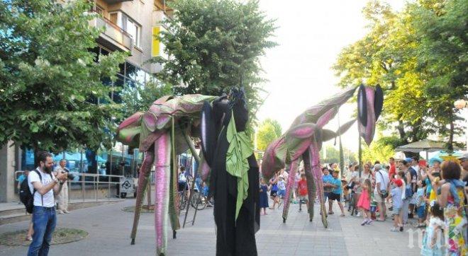 6-метрови богомолки плъзнаха в Бургас