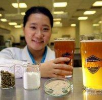 НОВО 20! Изобретиха бира с пробиотици 