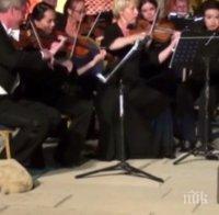 Бездомно куче се включи в концерт на Виенската филхармония, изслуша Менделсон