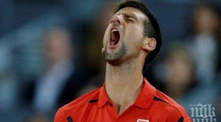 джоко триумф англия