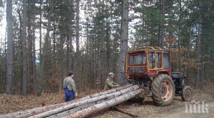 дърводобивна фирма хакна водопровод остави 100 вили сухо