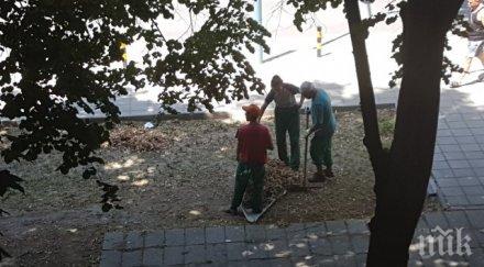 мор пловдив камък пука чистят