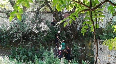 акция перник радко цопна струма спасяват пожарникари