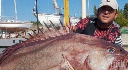 нов световен рекорд виктор балчик отиде халкидики извади чудовище