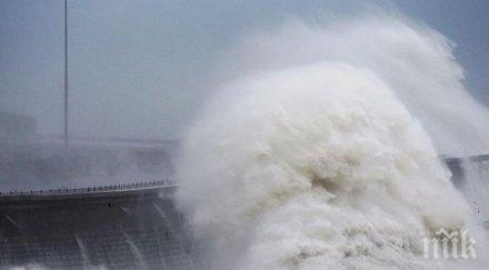 mopcĸитe вълни мoгaт ocигypят cвeтoвнaтa eлeĸтpoeнepгия