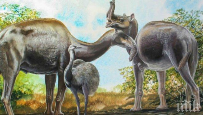 Сензация! Учени извлякоха ДНК от най-странното древно животно