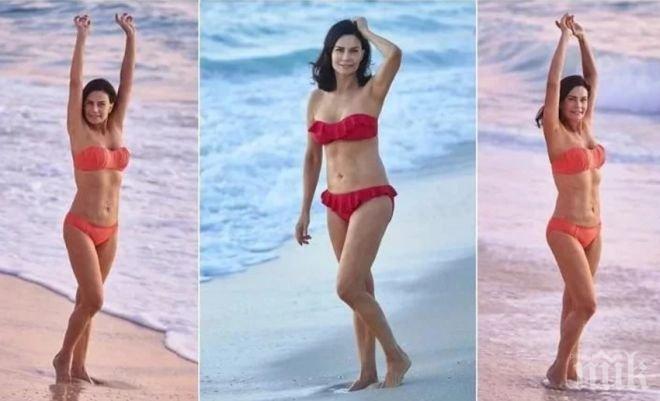 НЯМА ДА ПОВЯРВАТЕ! Тя е на 70, но изглежда на 40! Вижте историята на невероятната Каролин Харц (СНИМКИ)