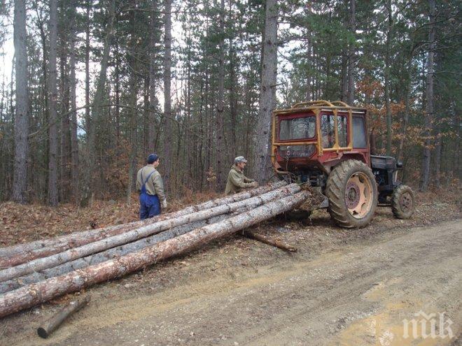 Дърводобивна фирма хакна водопровод, остави над 100 вили на сухо