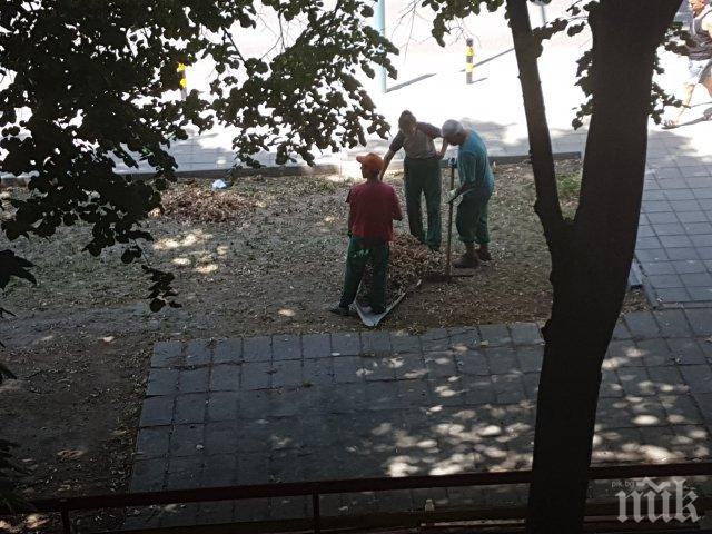 Мор в Пловдив! Камък се пука, но те чистят