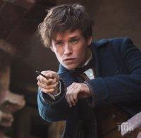 Край Лондон стартираха снимките на продължението на „Фантастичните животни и къде да ги намерим“