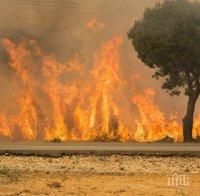 Огнен ад! Близо 400 човека са евакуирани заради горски пожар в Югозападна Испания
