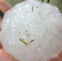 УЖАС! Град Левски е като бомбардиран след ударите от градушка, голяма колкото юмрук (СНИМКА)