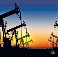 Цената на петрола тръгна надолу