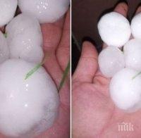 ЛЕДЕНА СТИХИЯ! Градушка като юмрук падна в Плевенско (СНИМКИ)