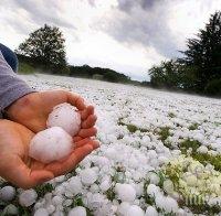 БЕДСТВИЕТО: След градушката в Пловдивско - 64 хектара реколта унищожена напълно