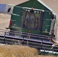 Тракторист забърса 7 тона зърно
