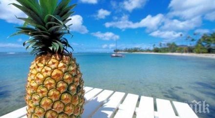 любим плод топи килограми подмладява