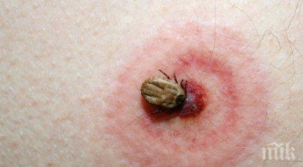 кърлежите плъзнаха случаи лаймска болест