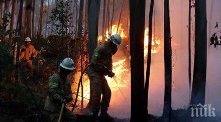души пострадали горски пожари португалия