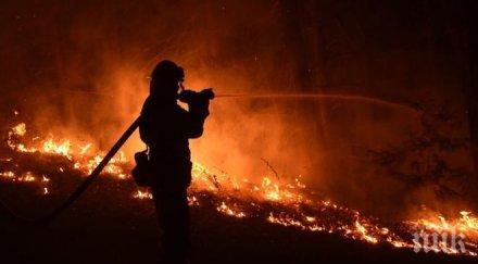 пожар изпепели декар борова гора