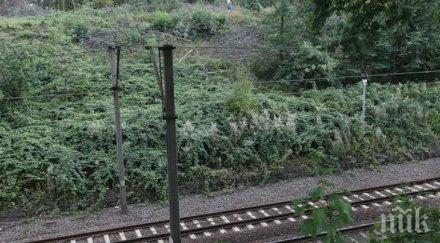 чудо релсите мъж падна влака гара прослав оцеля