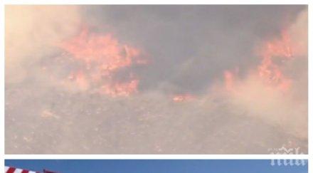 огромни пожари бушуват сащ европа