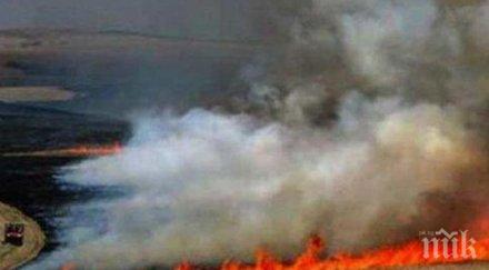 гърците ужас пожари