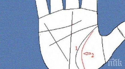 имате ангелска линия ръката вижте означава