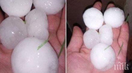 ледена стихия градушка юмрук падна плевенско снимки