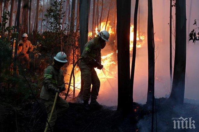 10 души са пострадали при нови горски пожари в Португалия
