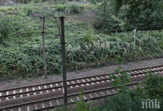 Чудо на релсите! Мъж падна под влака до гара Прослав, оцеля