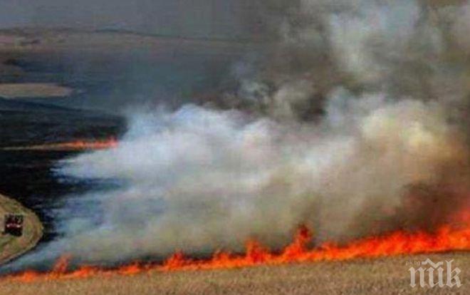 Гърците в ужас от пожари