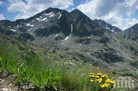 Новият план за Пирин не предвижда сечи и строителство в парка